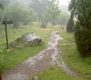 Regn �ver Brobacka �ngar